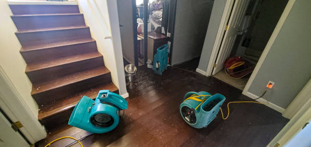 Best Flooded house restoration  in St Helena, CA