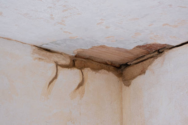 Best Carpet water damage restoration  in St Helena, CA