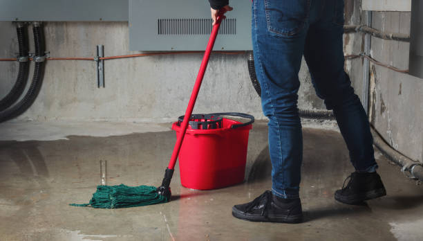 Best Flood damage cleanup  in St Helena, CA