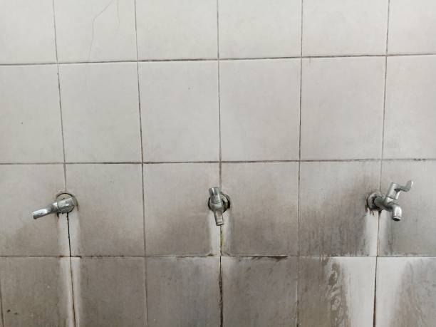 Best Basement water damage restoration  in St Helena, CA