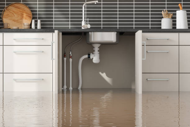 Best Local water damage restoration  in St Helena, CA