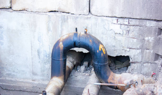 Best Water damage cleanup near me  in St Helena, CA