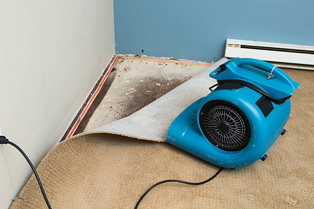 Best Water damage restoration near me  in St Helena, CA